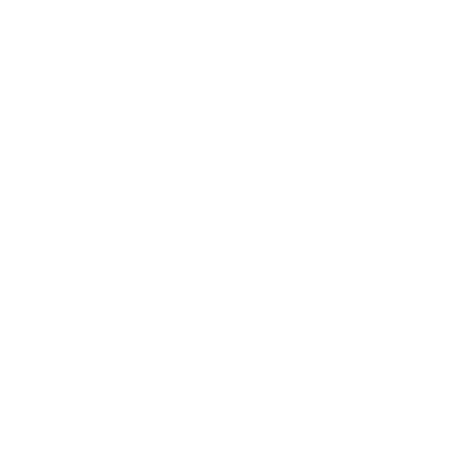 Icon_065-Route-Planning & Optimization_WHITE