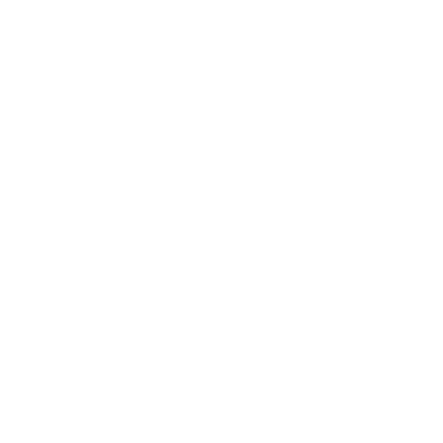 Icon_124_Carriers_WHITE
