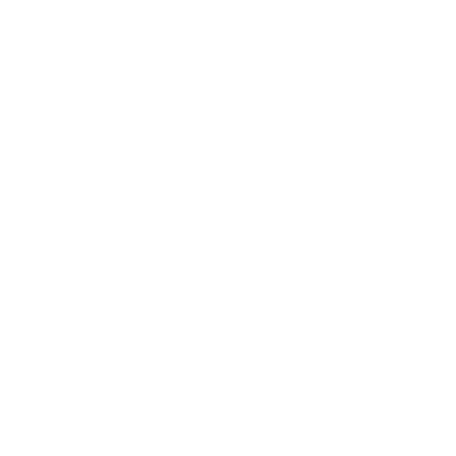 Icon_145_OptimizationEngine_WHITE