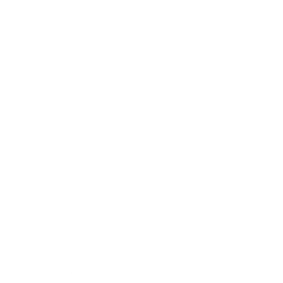 Icon_384_Mobile_Device_3_WHITE (1)